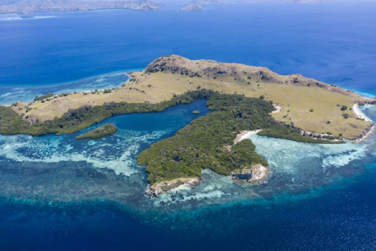 Tempat Snorkeling Di Labuan Bajo Paling Indah Sering Jalan