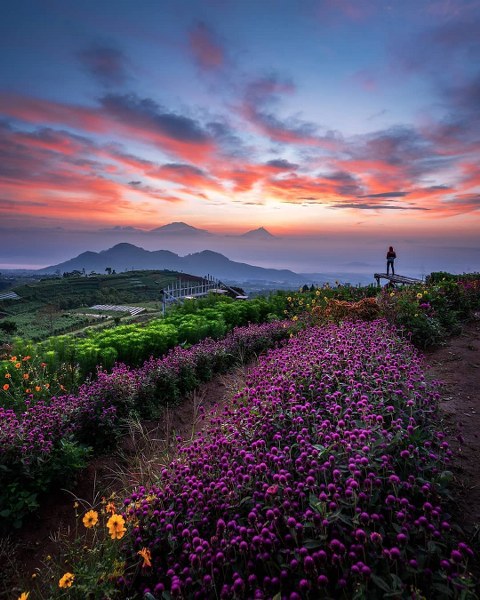 Silancur highland kaliangkrik