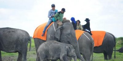 Pusat Pelatihan Gajah Seblat