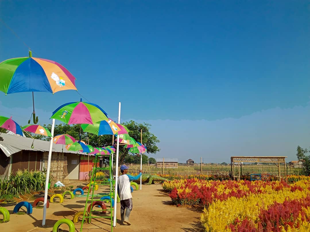 Taman Celosia Jati Kulon