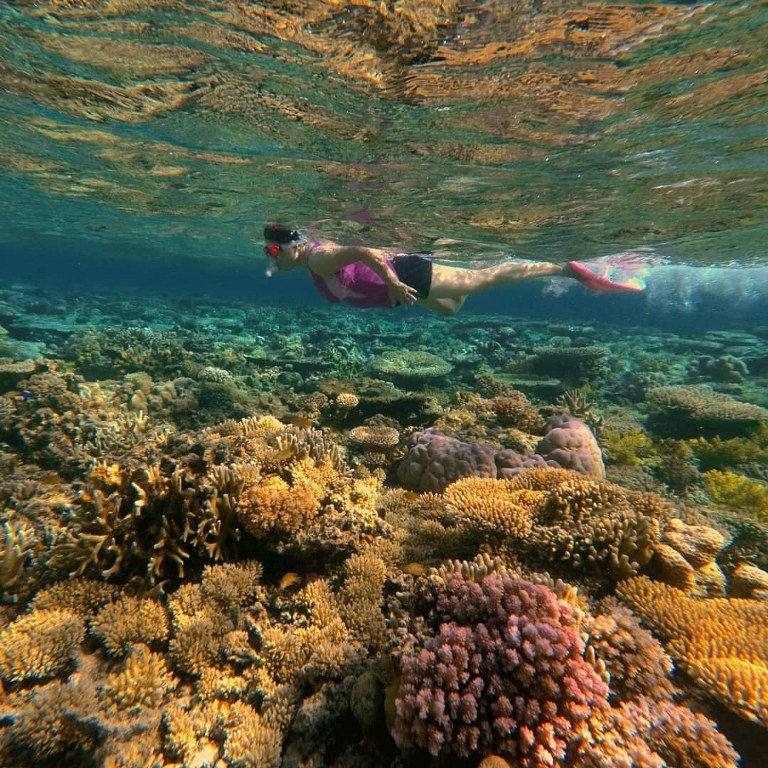 Terumbu Karang Taman Nasional Kepulauan Togean