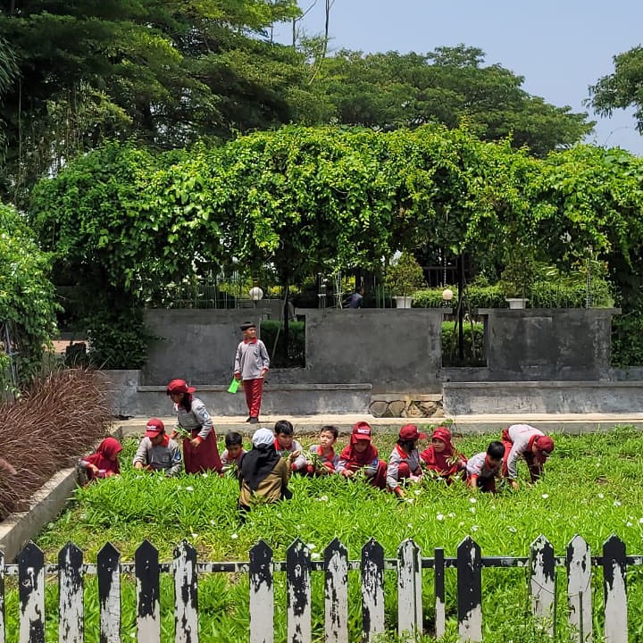 Aktifitas di Urban Farmin Purwakarta