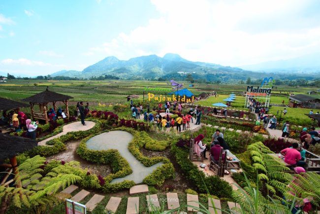 Taman Bunga Pujon Kidul Malang