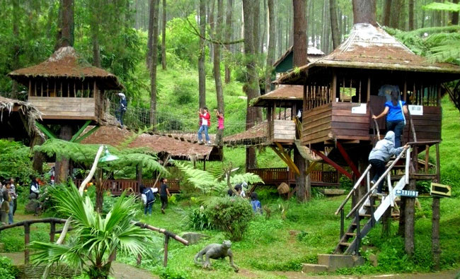 Rumah Pohon Jatiasih