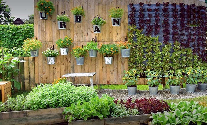 berkebun di Urban Farming Purwakarta