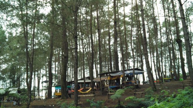 Curug Badak Tasikmalaya