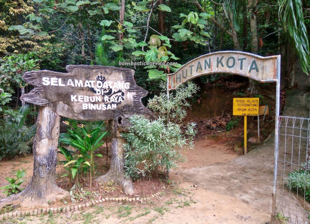 5 Tempat Wisata di Tanjung Selor Sering Jalan