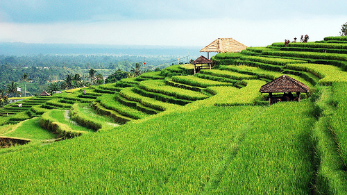 5 Tempat Wisata di Tabanan Bali - Sering Jalan