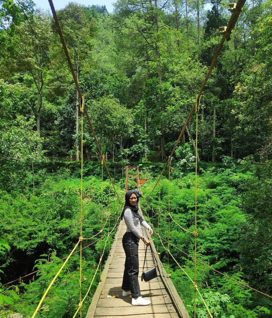 wisata Taman Hutan Raya Djuanda Bandung