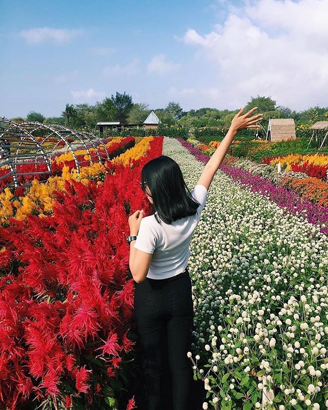 Romantic Garden Bantul 1