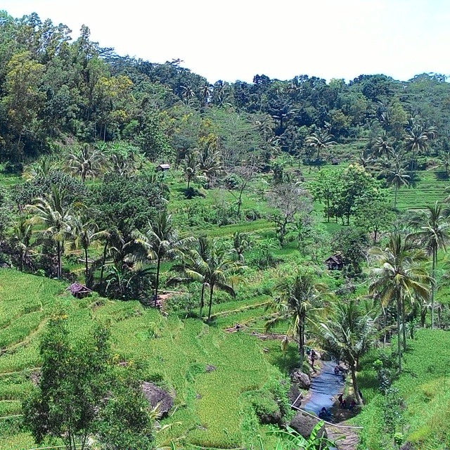 Air Terjun Kedung Kandang
