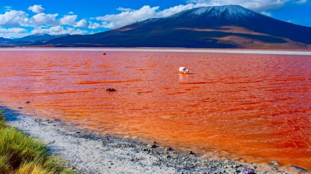 Danau Merah, Tempat wisata di Kota Pagar Alam