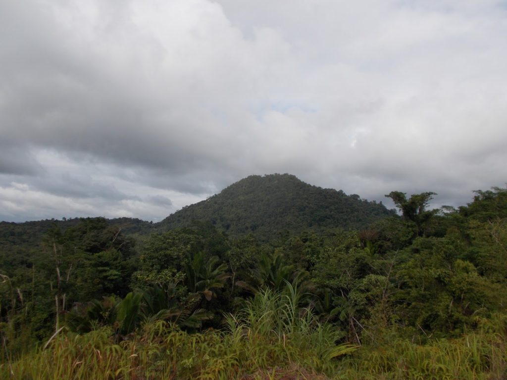 6 Tempat Wisata Di Tanah Merah Kabupaten Boven Digoel 5