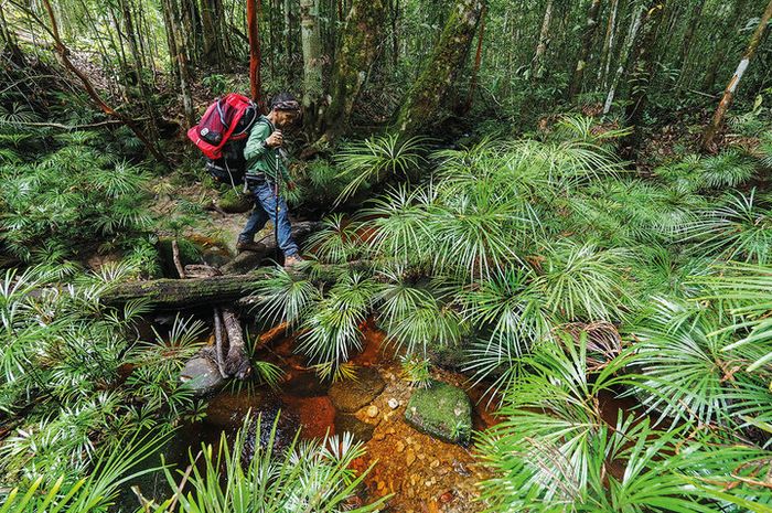 Jalur pendakian Gunung Beriun