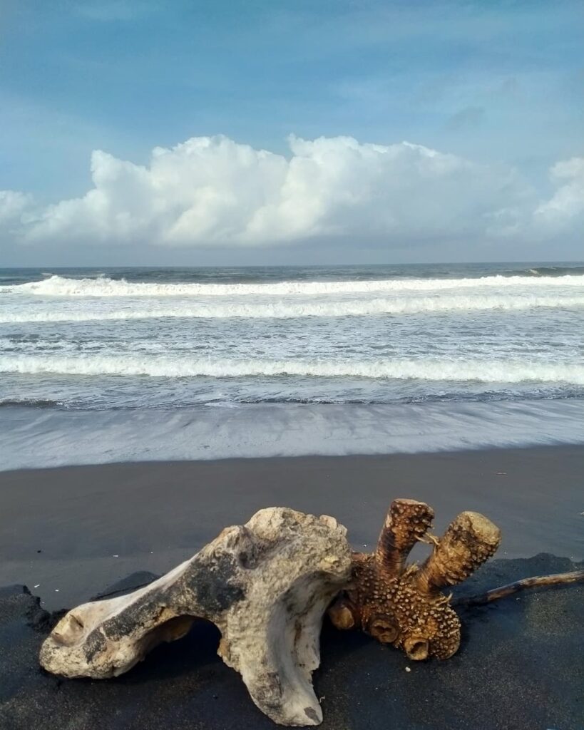 Pantai Trisik Kulon Progo
