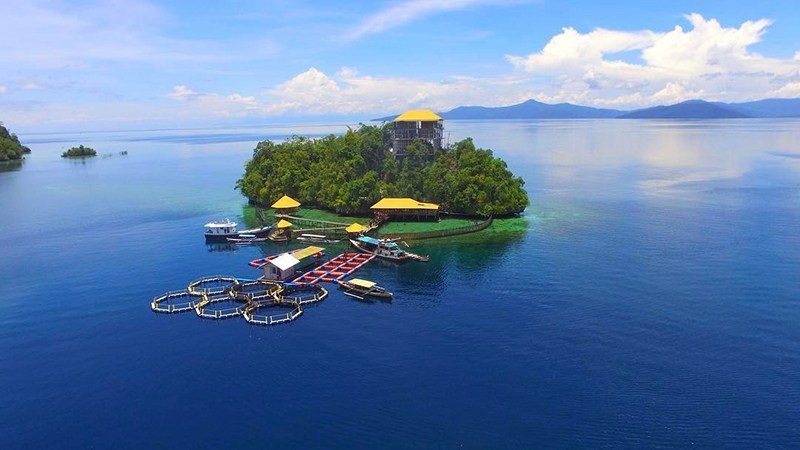 kota Lasusua kota Lasusua