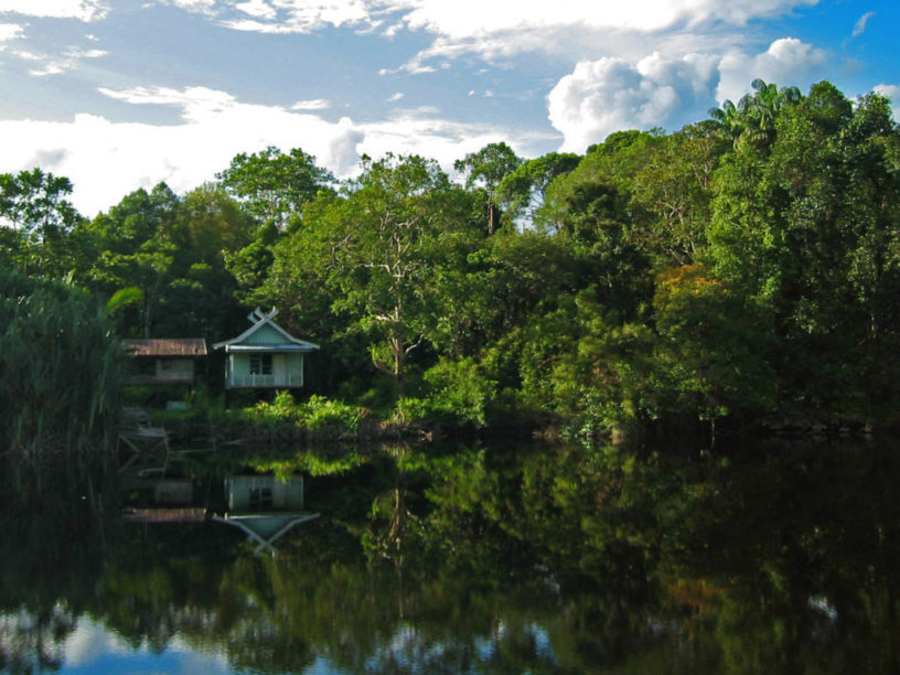 Tempat wisata di Muara Sabak Kabupaten Tanjung Jabung Timur, Taman Nasional Berbak