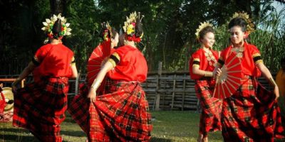Tari Kipas Pakarena berasal dari daerah Gowa