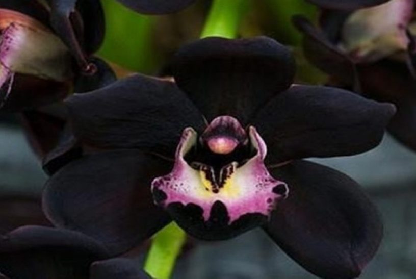 6 Tempat Wisata di Tamiang Layang Kabupaten Barito Timur Foto:republika.co.id