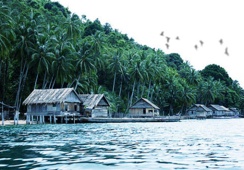 Mengenal Kota Kolonodale, Kabupaten Morowali Utara 1