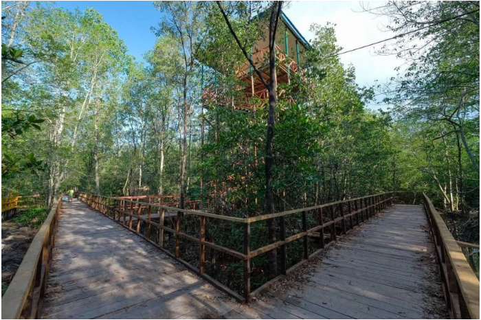 Hutan Mangrove Pangkal Babu, Tempat Wisata Di Kuala Tungkal