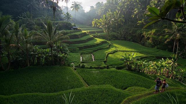 6 Tempat Wisata di Gianyar Bali yang bisa dikununjungi - Sering Jalan