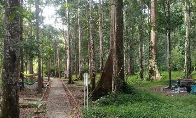  6 Tempat Wisata di Aimas Kabupaten Sorong-taman