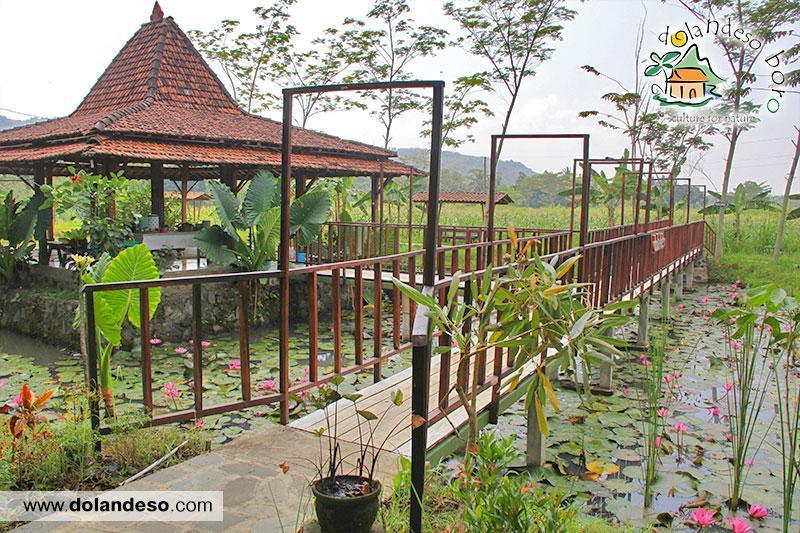 Lepas Penat di Dolandeso Boro 5