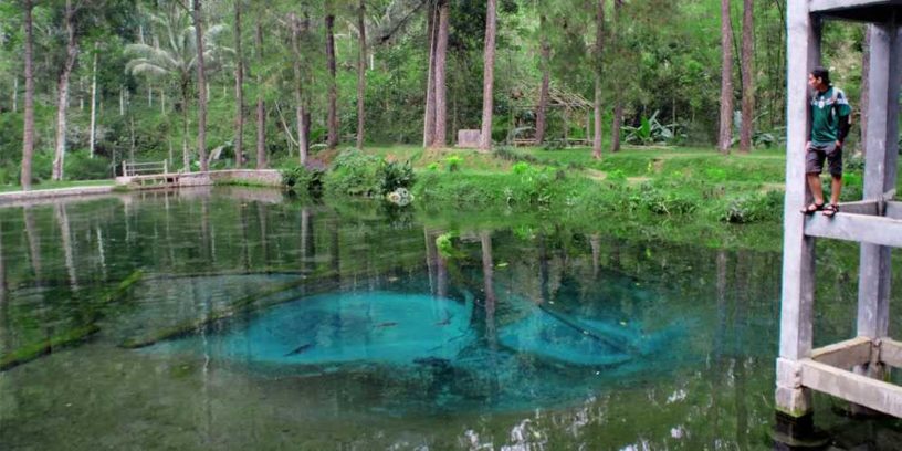 Petilasan Rambut Monte