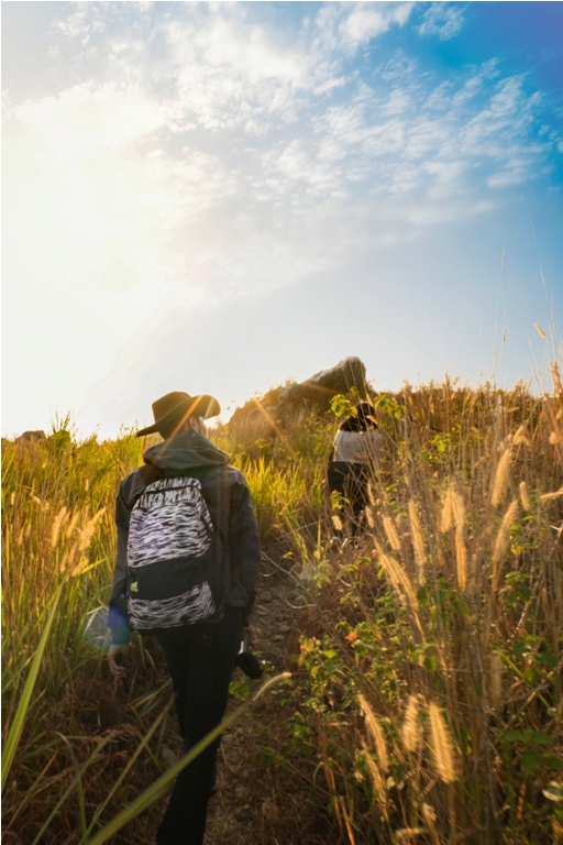 treking ke puncak bukit Karang Numpang Sukabumii