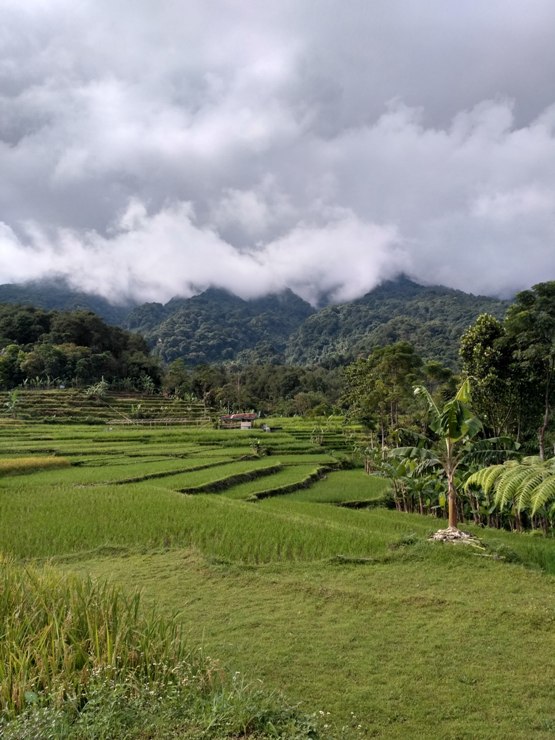 wisata alam curug hiji