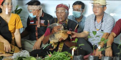 ritua Nyangahatn