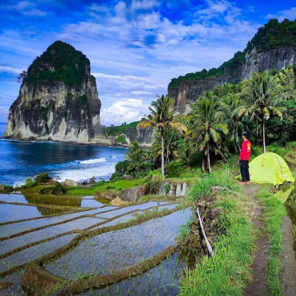 camPing Pantai Pangasan Pacitan