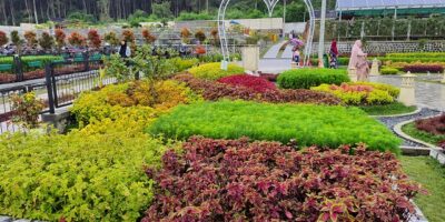 Taman Bunga Bee Park Majalengka