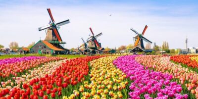Kirim barang dari belanda ke Indonesia