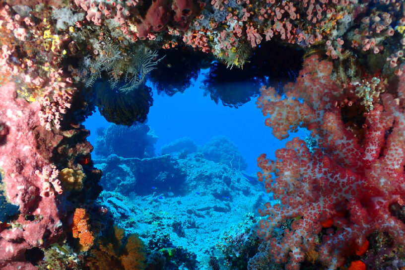 Batu Bolong Reef Labuan Bajo