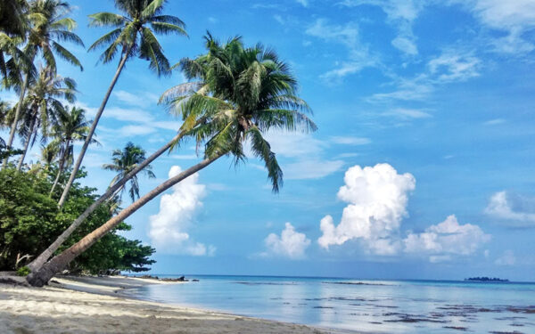 Tempat Wisata di Karimunjawa