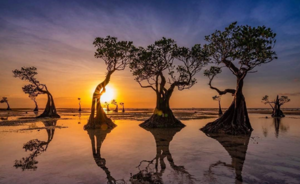 Pantai Walakiri Sumba Timur