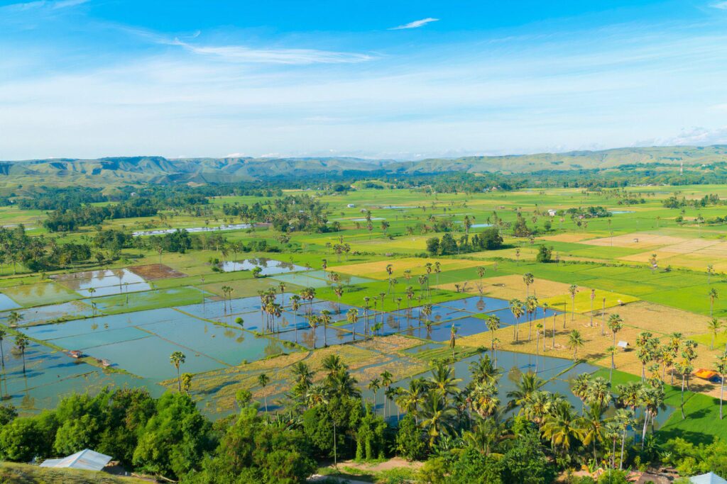 Pemandangan dari Bukit Persaudaraan