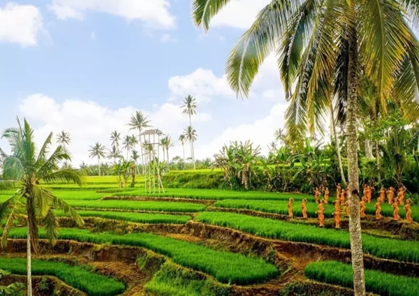 Desa Tamansari, Banyuwangi