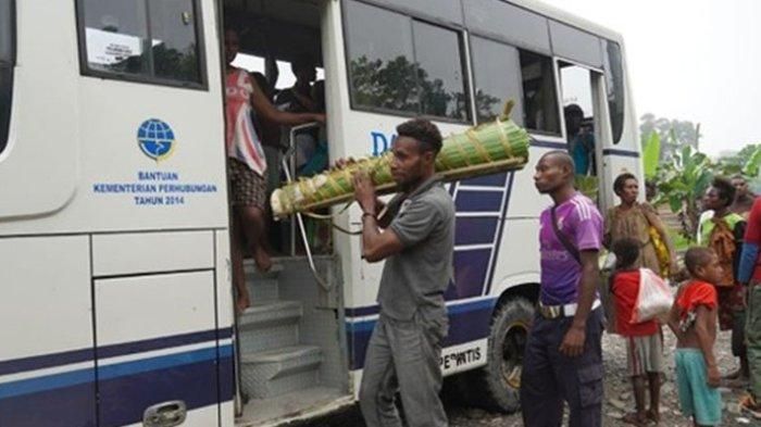 Jadwal Bus DAMRI Kota Manokwari Transportasi Perintis di Papua Barat - Photo by Tribun Papua