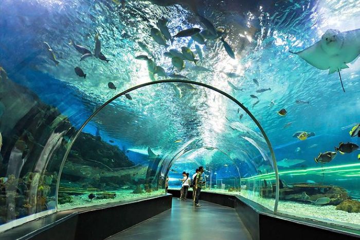 Manila Ocean Park Filipina - Photo by Tripadvisor