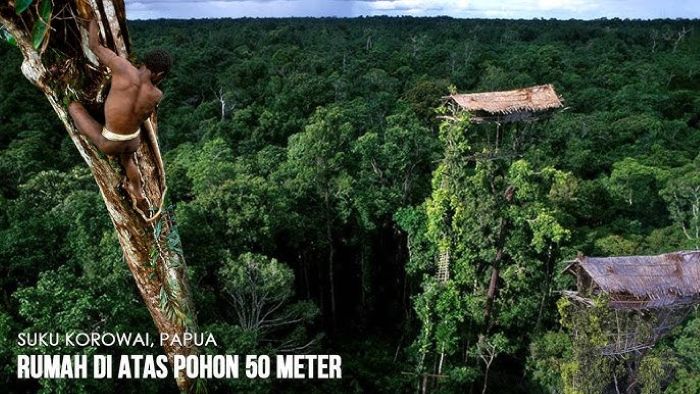 Rumah Pohon Suku Korowai Yang Terkenal di Papua Selatan - Photo by YouTube