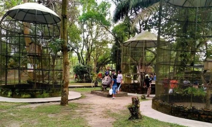 Kebun Binatang Kasang Kulim Tempat Wisata Keluarga di Pekanbaru