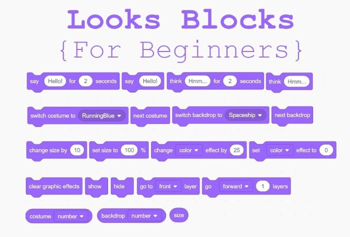 Looks Jenis Bahasa Scratch - Photo by YouTube