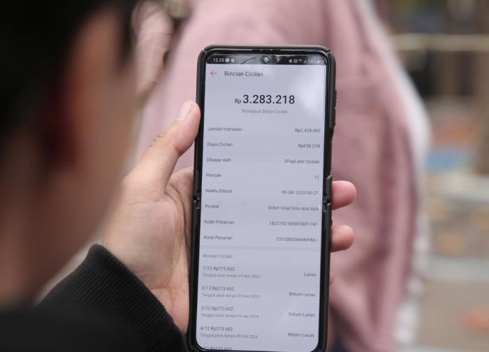 Memahami Penyebab Terjebak Cicilan Paylater - Photo by Google