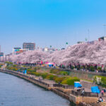 Sumida