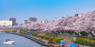 Sumida